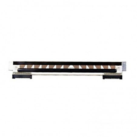 Cabeza De Impresion Zebra Printhead P1025950-019 GT800