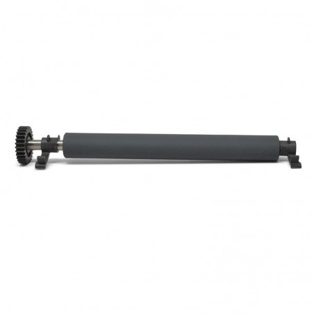 Kit Rodillo Zebra Platen Roller GT800 P1025950-008