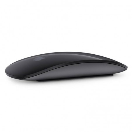 Apple Magic Mouse 2 Gris Espacial MRME2LL/A