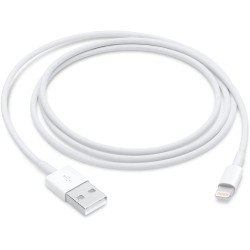 Cable Apple Lightning USB 2Mts MD819AM/A