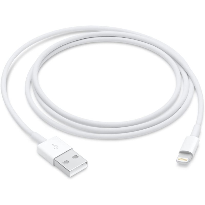 Cable Apple Lightning USB 2Mts MD819AM/A