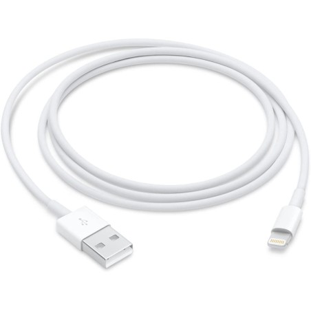 Cable Apple Lightning USB 2Mts MD819AM/A