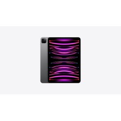 iPad Pro 4th Generacion M2 11" Pulgadas WiFi A2759 8GB 512GB Gris Espacial MNXH3LZ/A