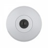 Camara AXIS M3067-P