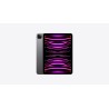 iPad Pro 4th Generacion M2 11" Pulgadas WiFi A2759 8GB 128GB Gris Espacial