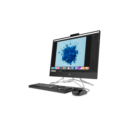 All In One HP 22DD0519LA Celeron J4025 4GB 500GB Sata 21.5" W11H Negro
