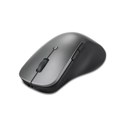 Mouse Lenovo Professional...