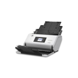 Escaner Epson DS-30000 A3