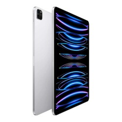 iPad Pro M4 11" Pulgadas WiFi 8GB 256GB Plata Vidrio Estandar Ultra Retina