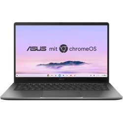 Portatil Asus ChromeBook...