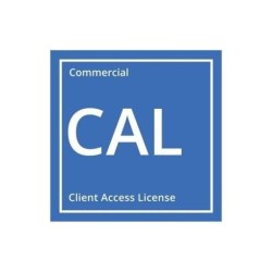 Licencia HPE Microsoft Windows Server 2025 5 User CAL Worldwide P77112-B21