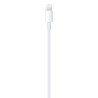 Cable Apple USB-C A Lightning 1Mt Blanco