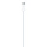 Cable Apple USB-C A Lightning 1Mt Blanco